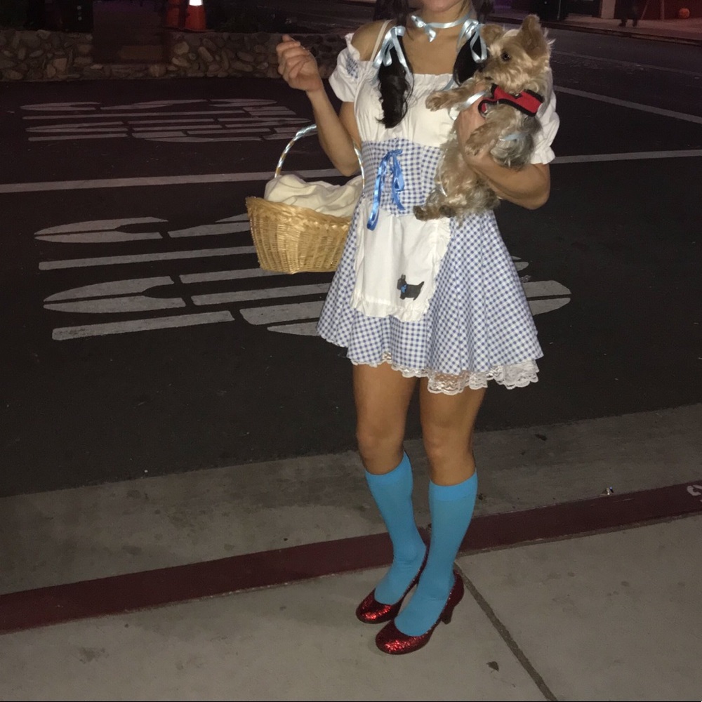 Dorothy Costume Wizard of Oz small dress Dorothy